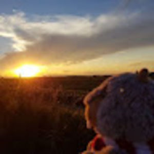 Meet your Posher, Dawson